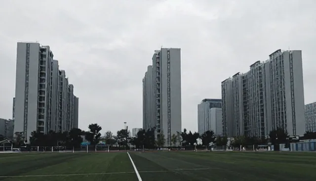 应用开发中检查要点的常见问题与处理方法